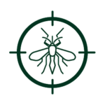 SQ (4)